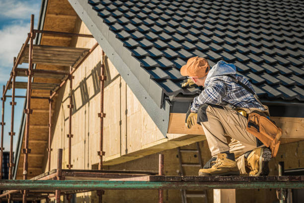 Best Sheet Metal Roofing  in Park Layne, OH