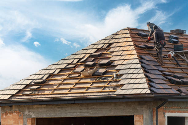 Best Solar Panel Roofing Installation  in Park Layne, OH